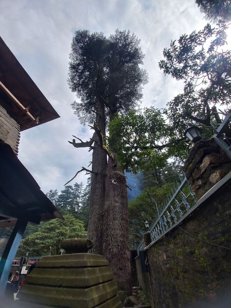 jageshwar_jageshwar_dham_4.jpg
