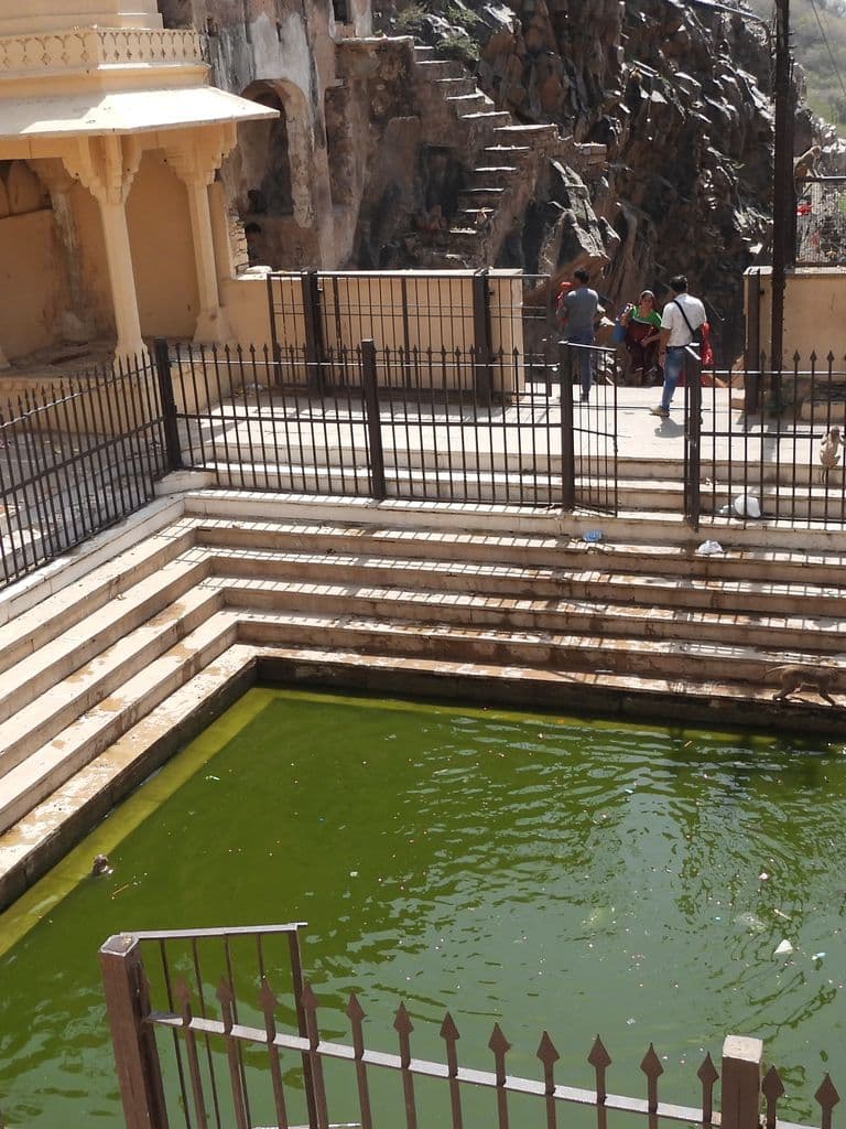 jaipur_galav_rishi_ashram_12.jpg