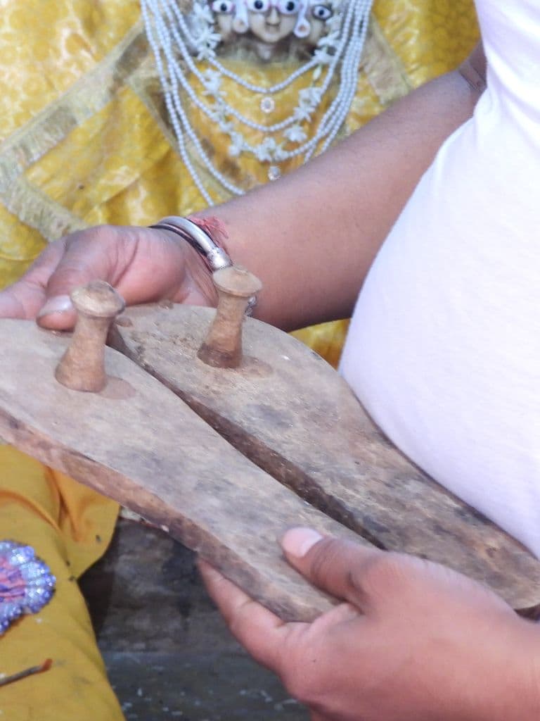 jaipur_galav_rishi_ashram_13.jpg
