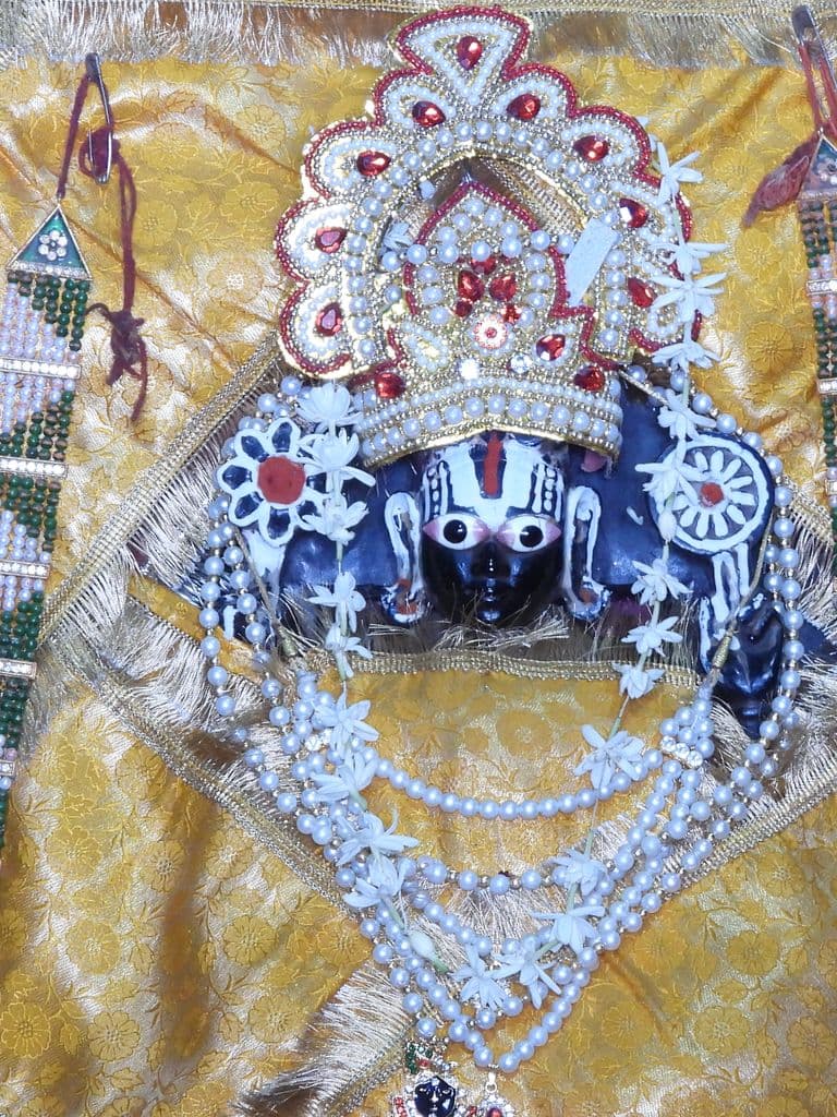 jaipur_galav_rishi_ashram_15.jpg