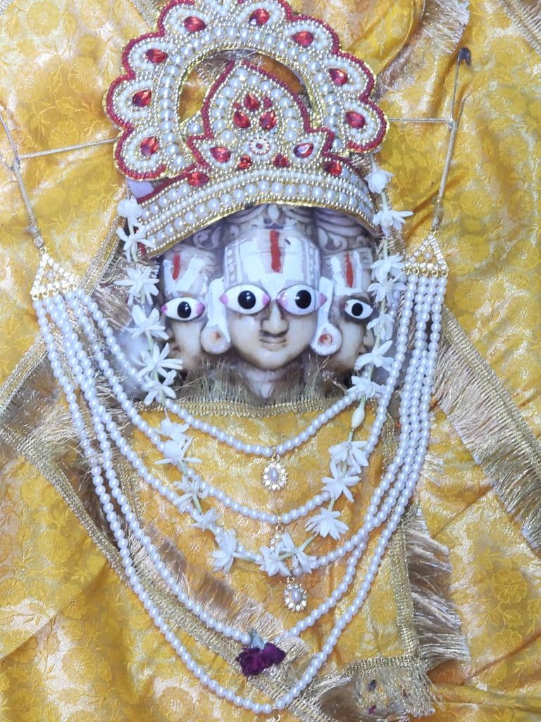 jaipur_galav_rishi_ashram_16.jpg