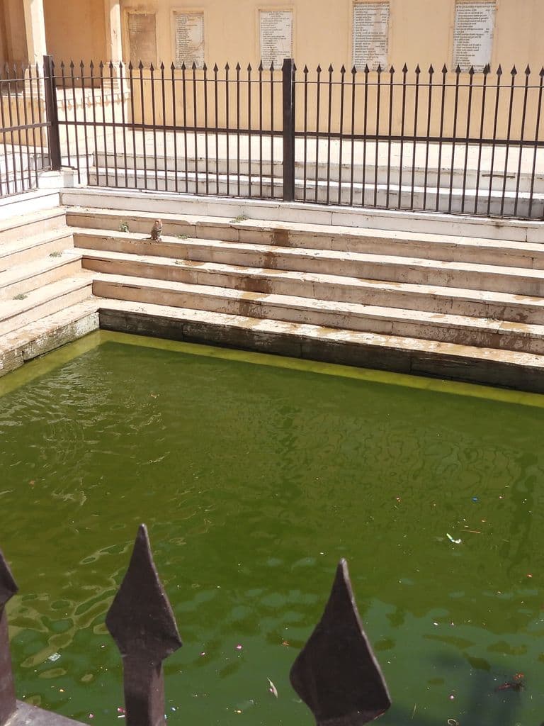 jaipur_galav_rishi_ashram_2.jpg