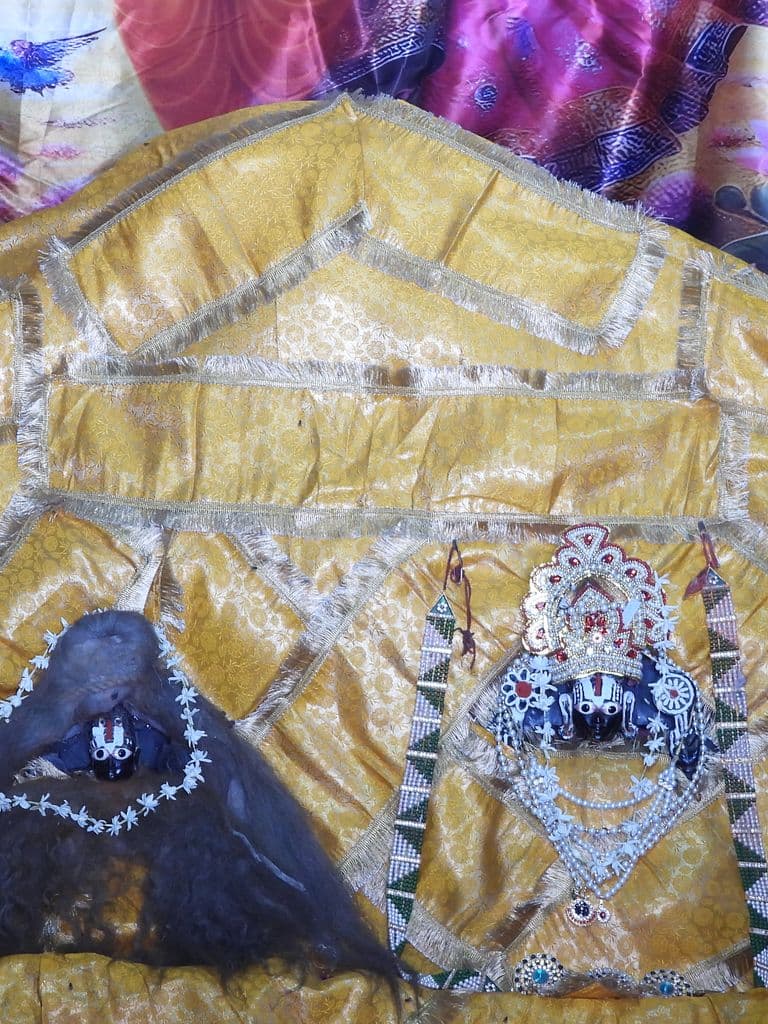 jaipur_galav_rishi_ashram_6.jpg