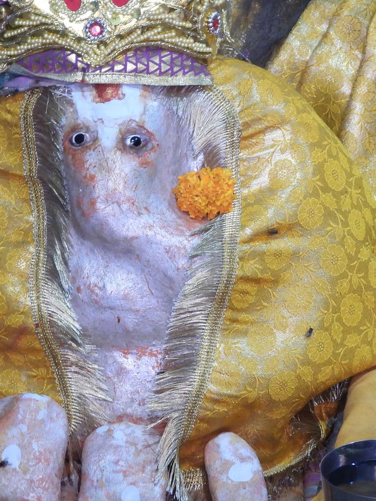 jaipur_galav_rishi_ashram_8.jpg