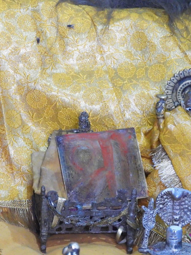 jaipur_galav_rishi_ashram_9.jpg