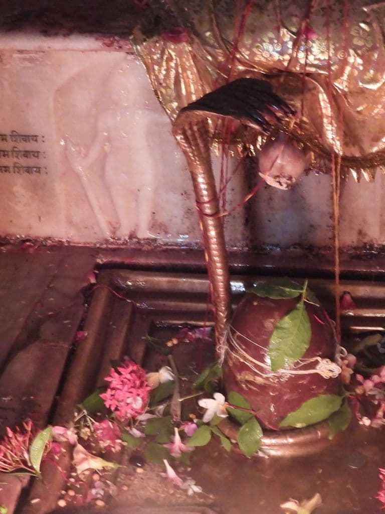 jaipur_shiv_mandir_4.jpg