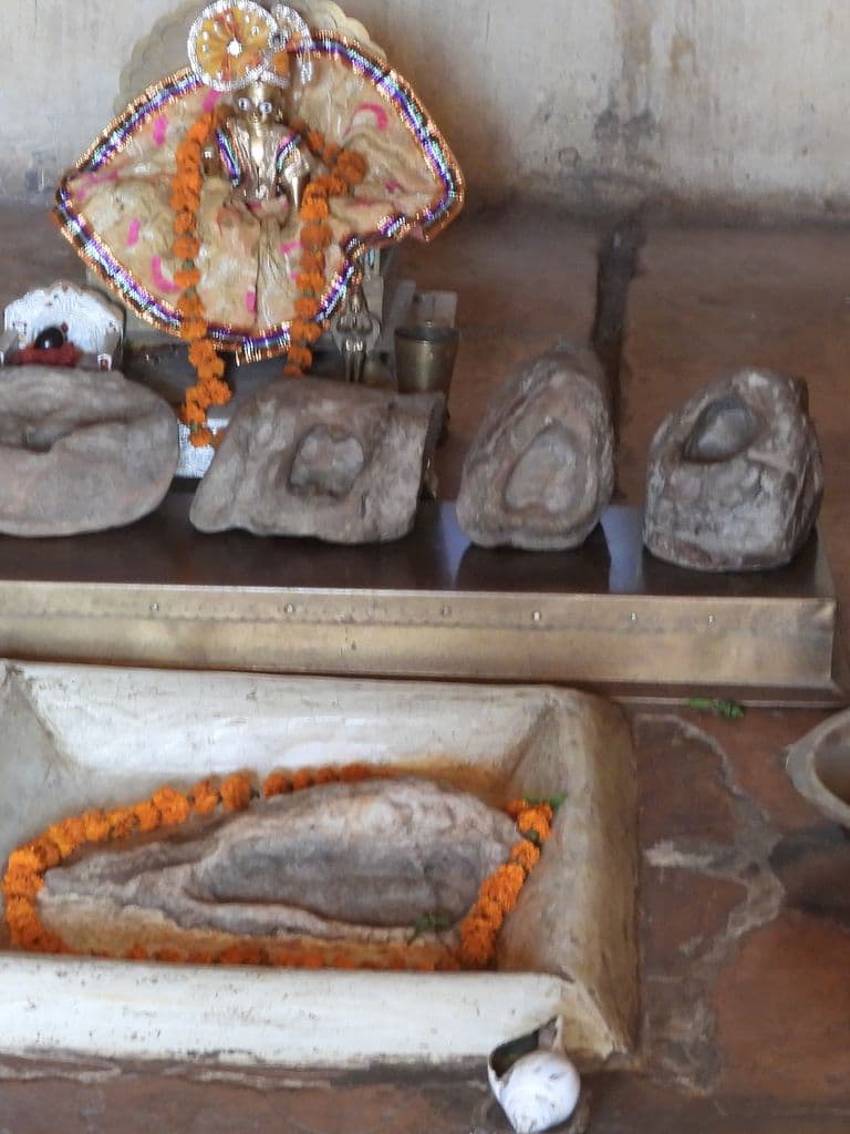 jaipur_thakurji_charan_paduka_mandir_4.jpg