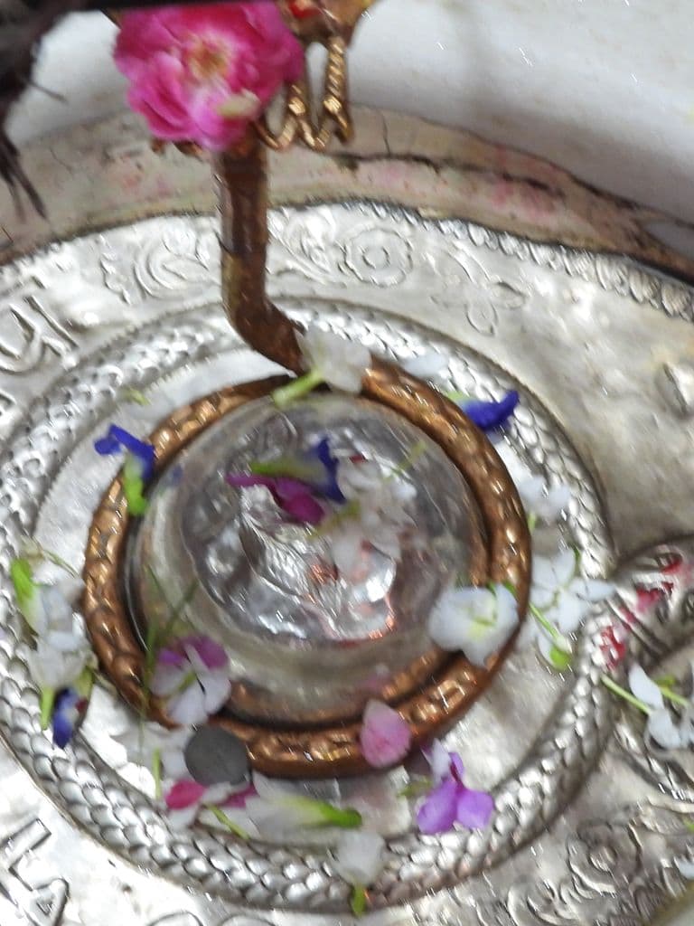 jalandhar_devi_talab_mandir_14.jpg