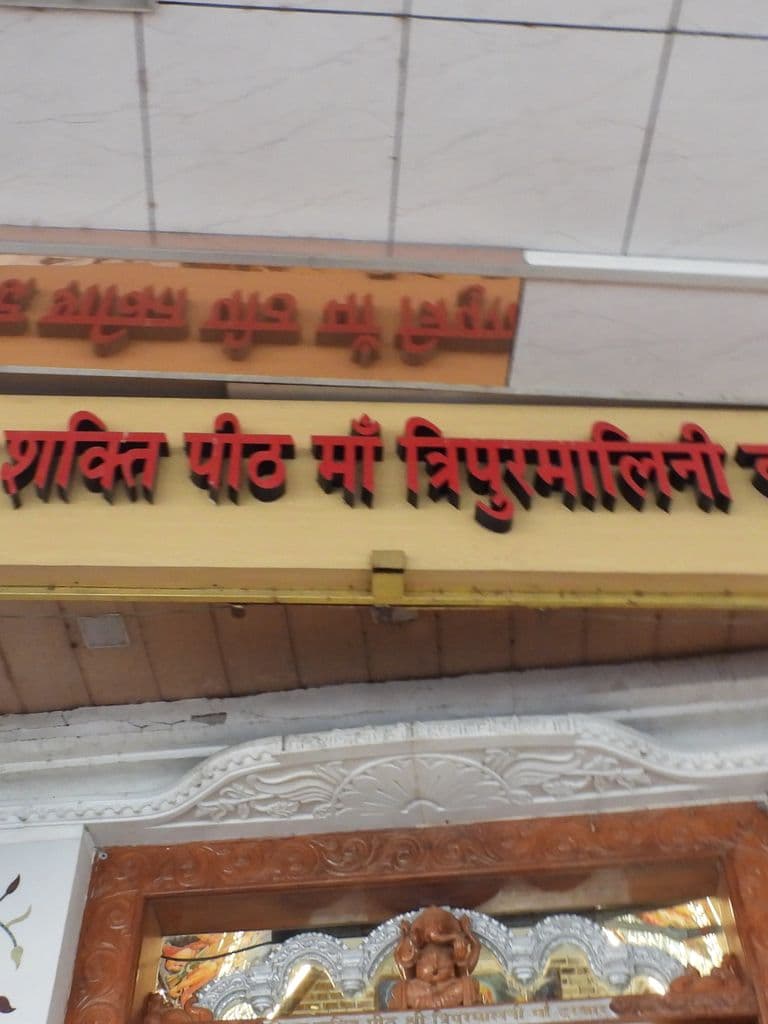 jalandhar_devi_talab_mandir_6.jpg