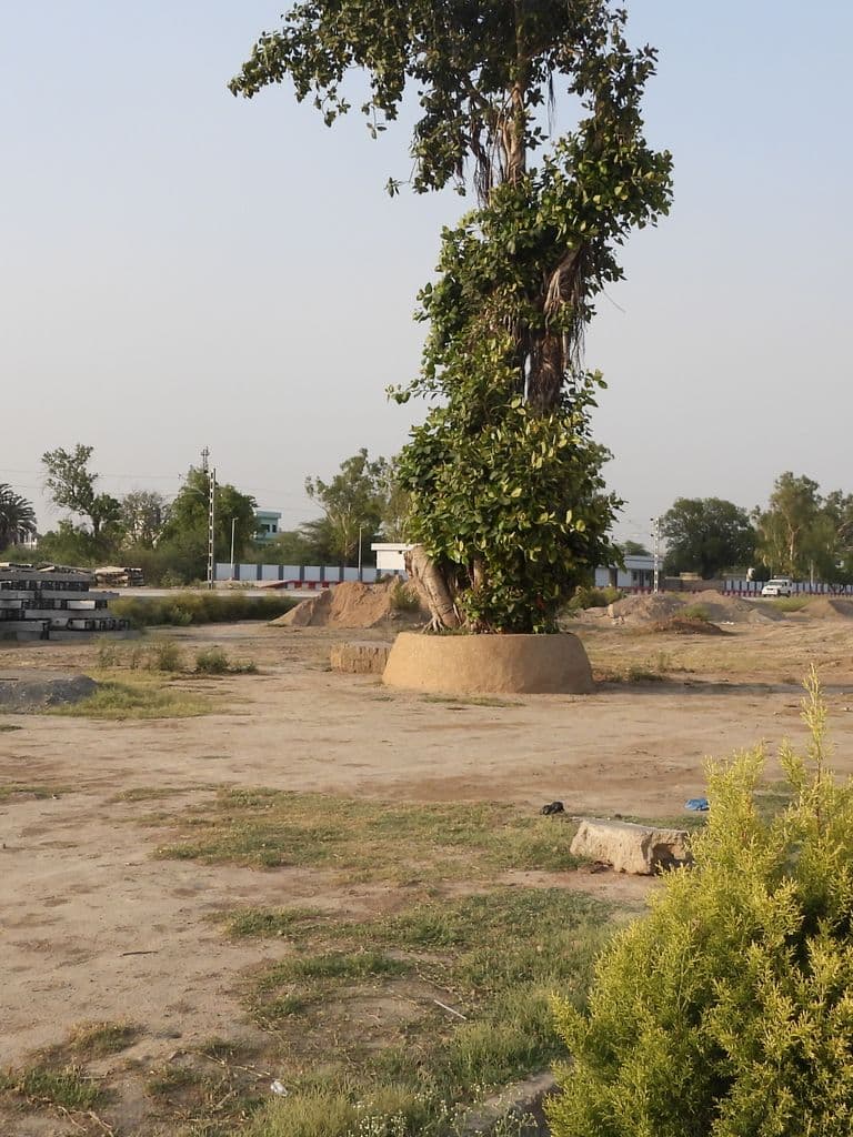 jighriyal_shrimata_mandir_8.jpg