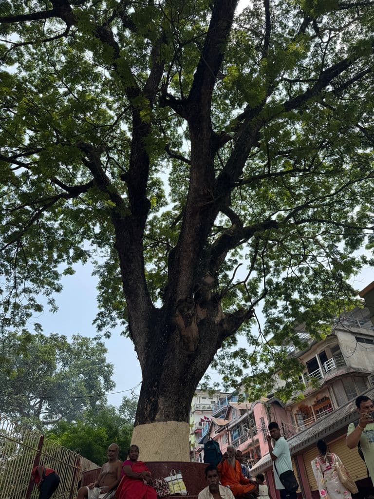kamakhya_mandir_20.jpg
