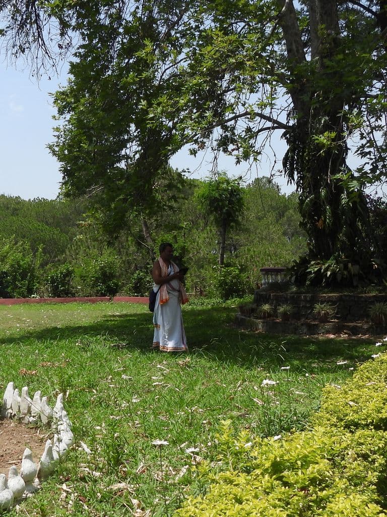 kangra_chinmaya_tapovan_9.jpg