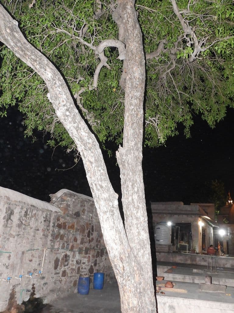 kansua_shiv_mandir_11.jpg