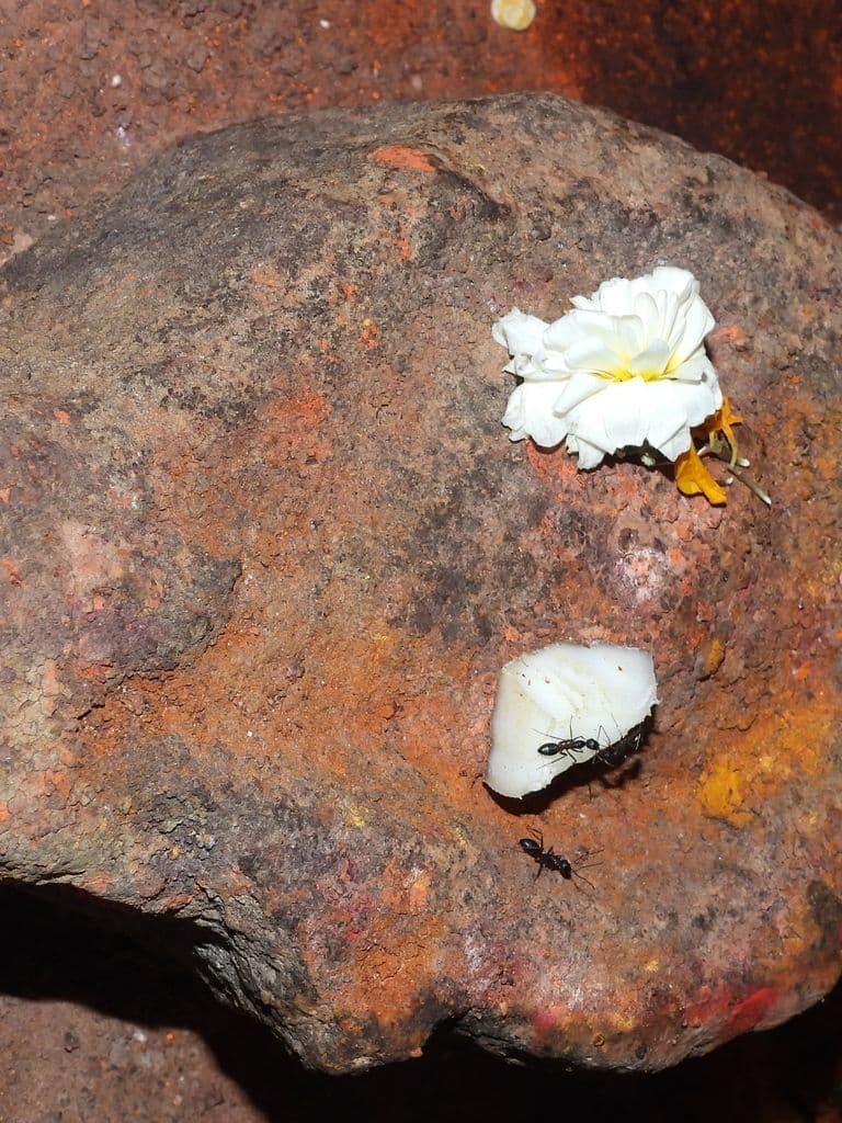 Khandeshwari Temple Beed