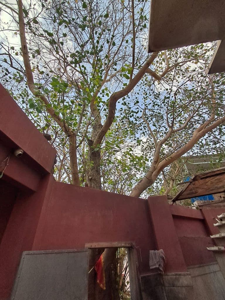 kolayat_kapila_ashram_3.jpg