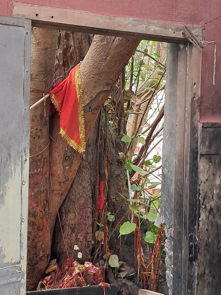 kolayat_kapila_ashram_5.jpg