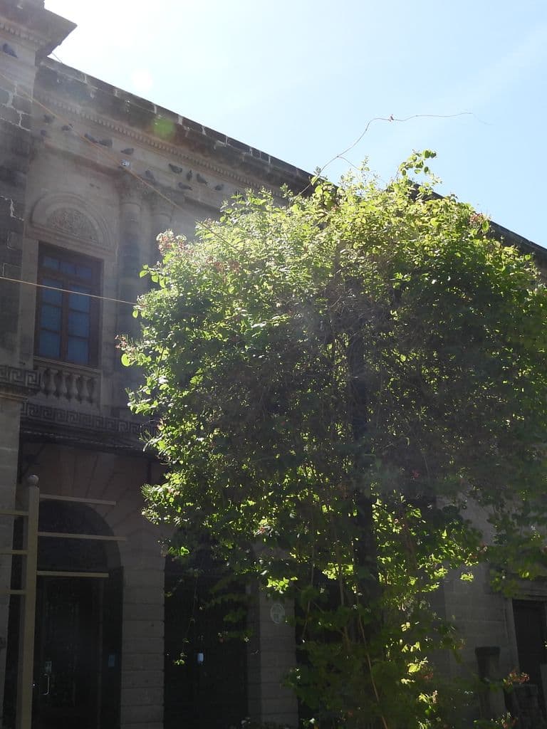 Kutch Museum