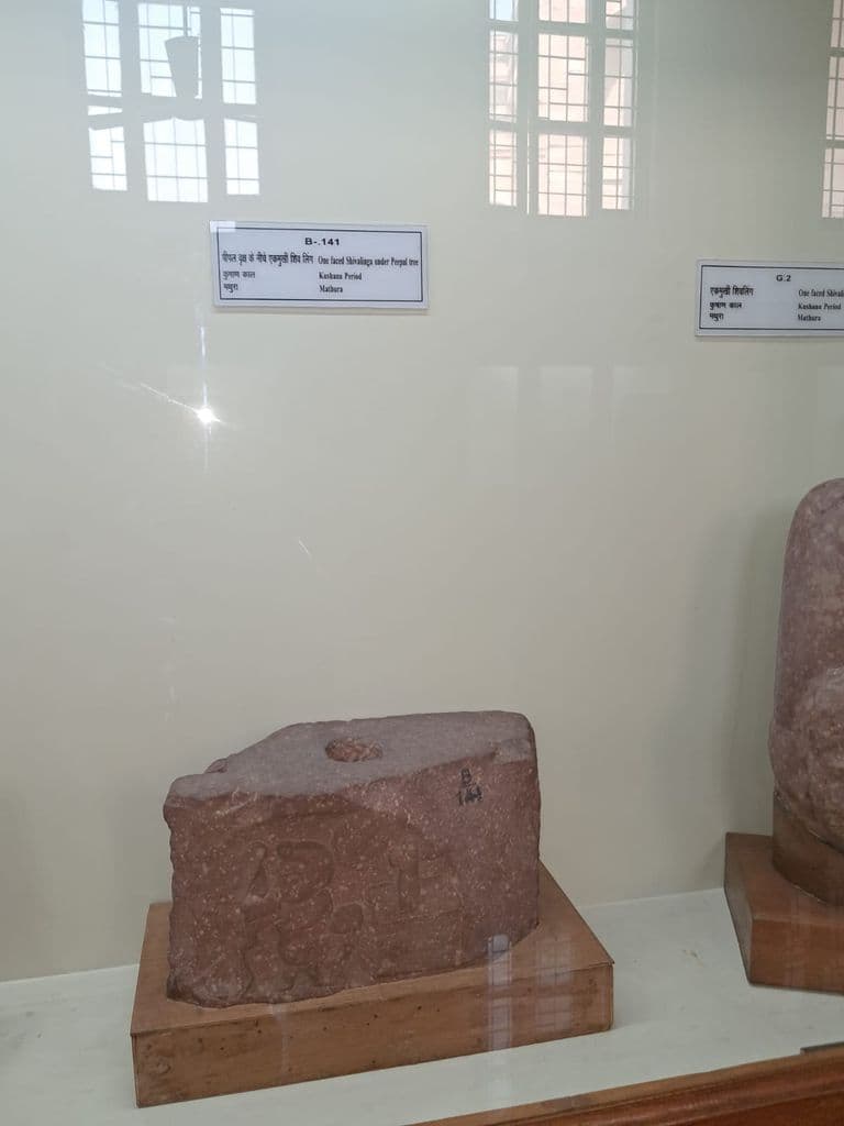 lucknow_state_museum_5.jpg
