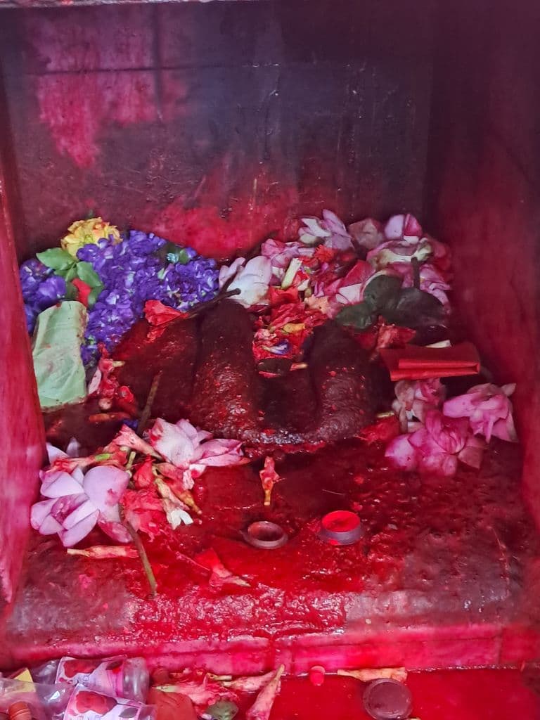 malda_taradevi_mandir_tarapeetha_19.jpg