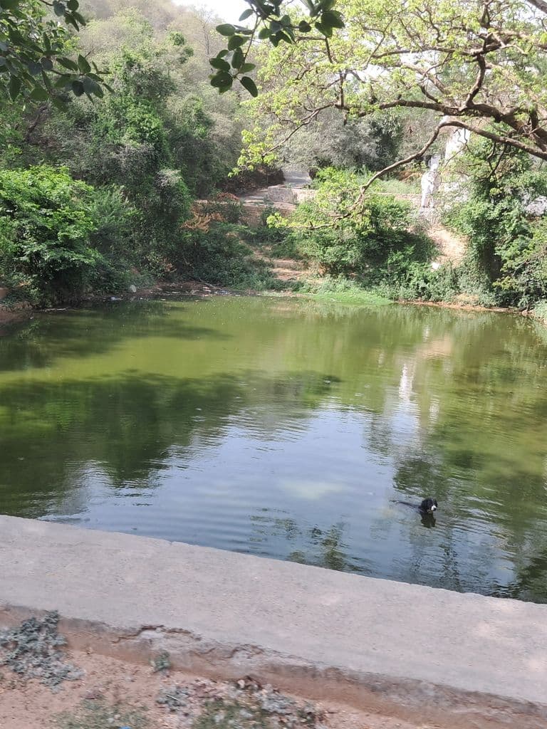 mangar_bani_caves_6.jpg