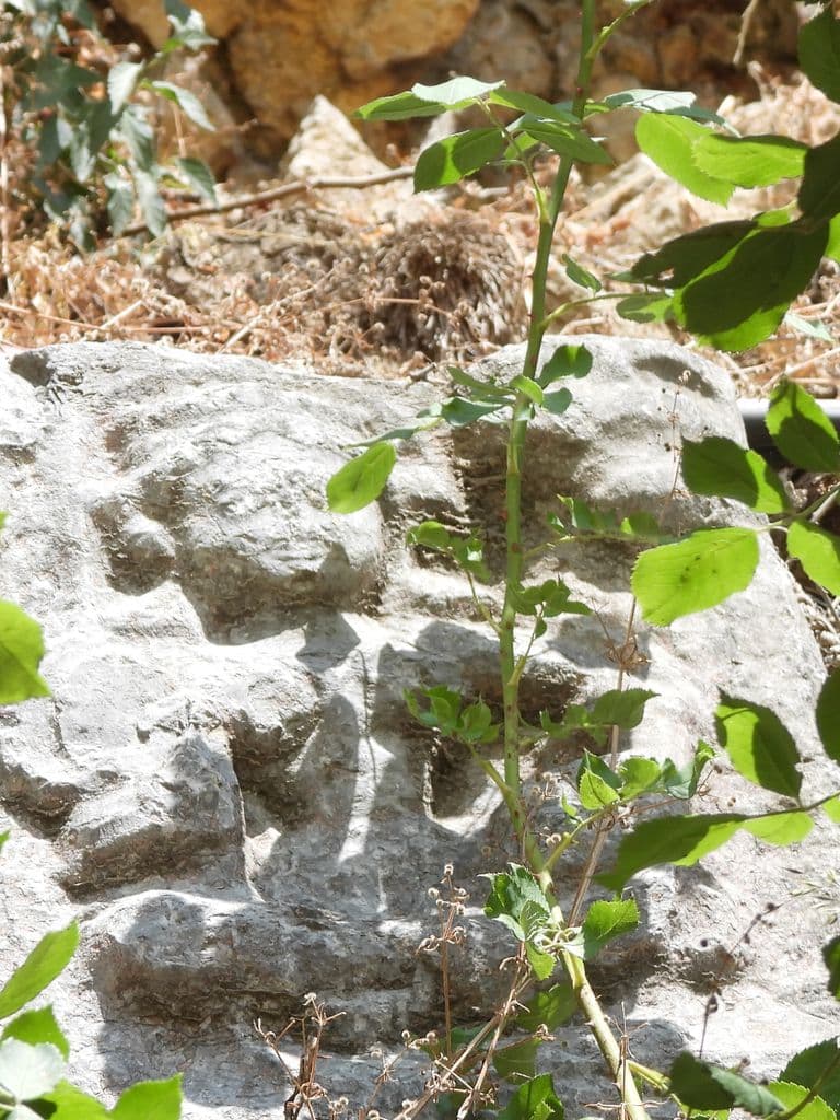 mattan_surya_mandir_martand_10.jpg
