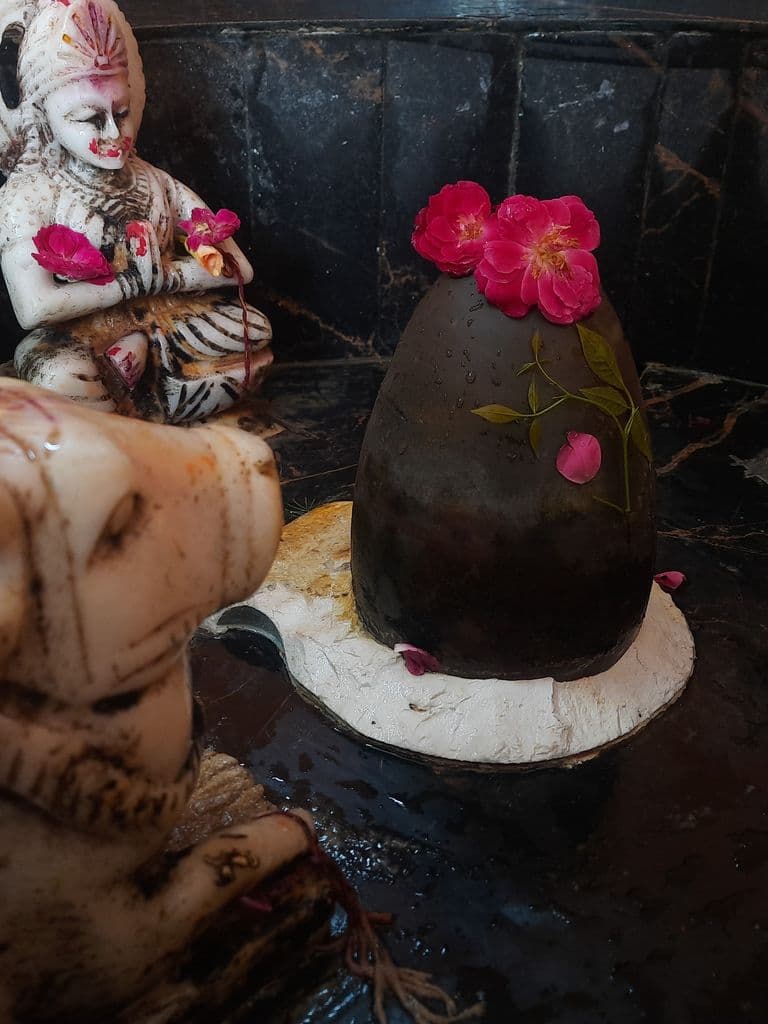 moradabad_ramganga_ghat_shiv_mandir_3.jpg