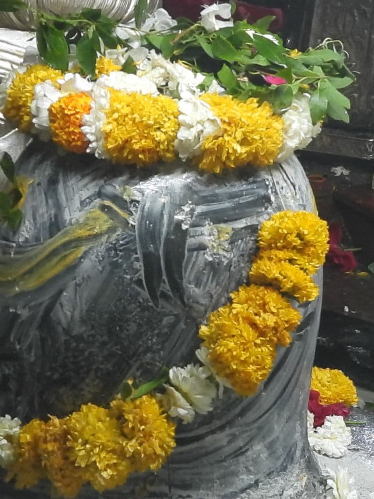 Naganath Jyotirling