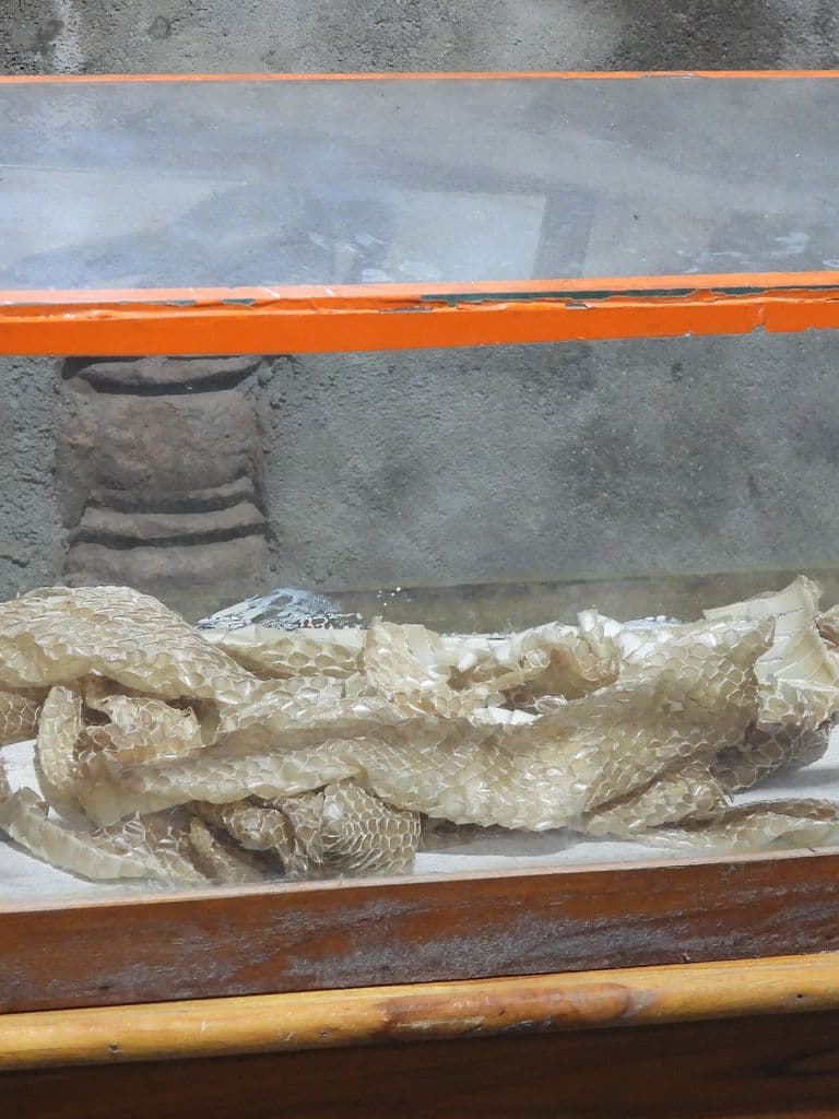Naganath Jyotirling