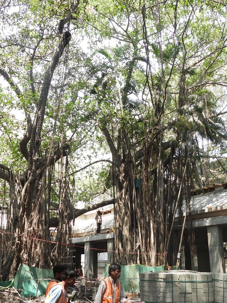 Panchanvati Sita Guha