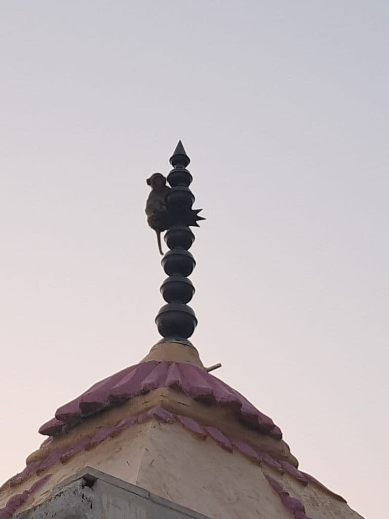 paniwala_adi_badri_5.jpg
