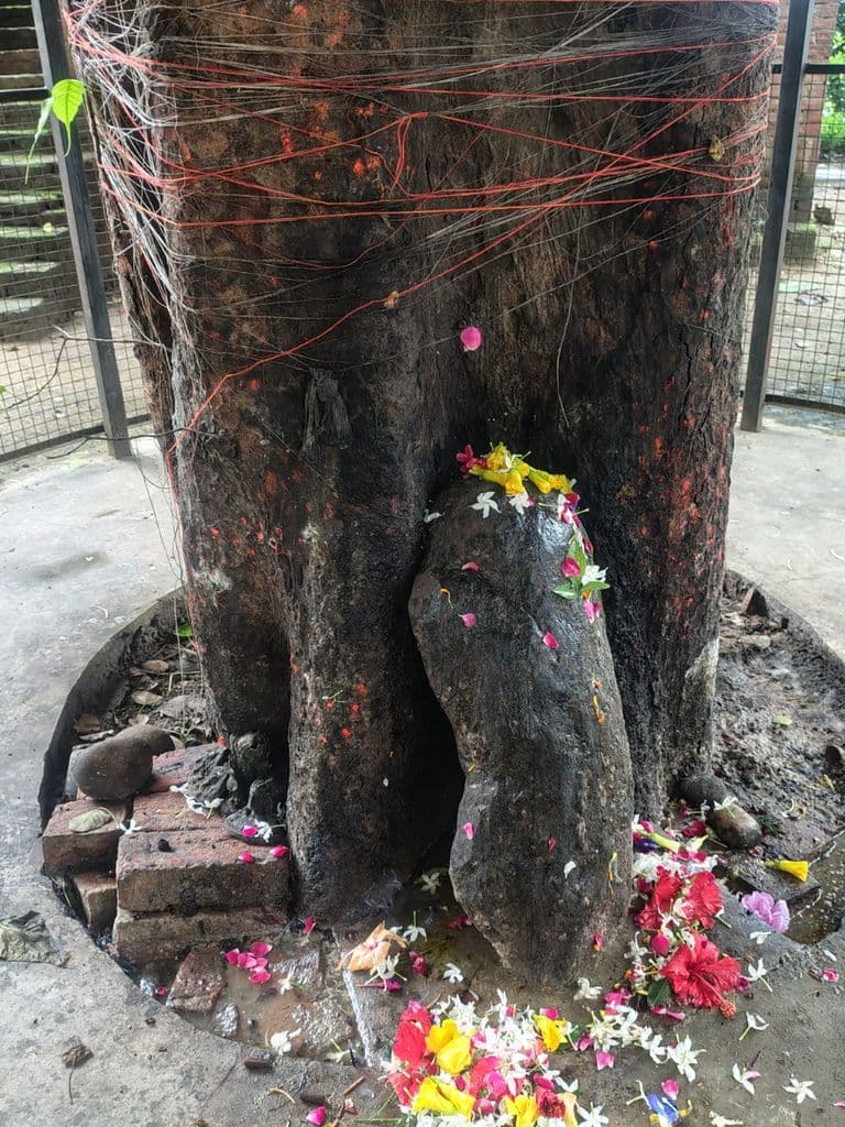 pratapgarh_bhayaharanath_mandir_4.jpeg