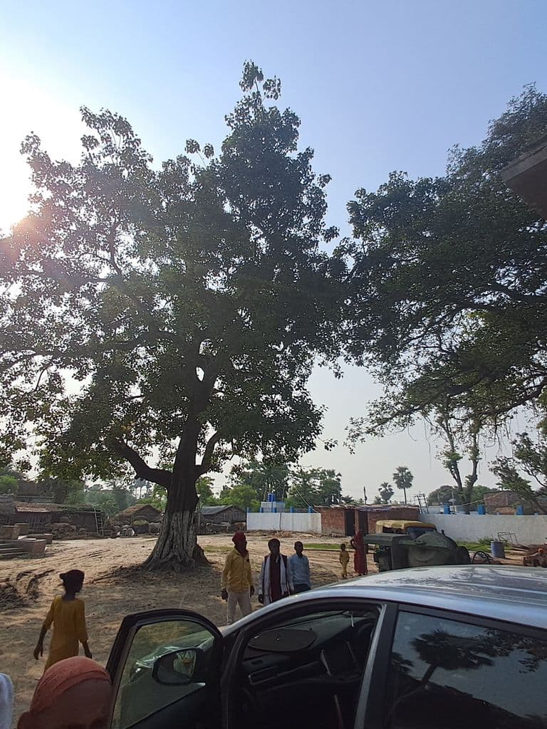 purnia_mandana_mishra_dham_mahishmati_8.jpg
