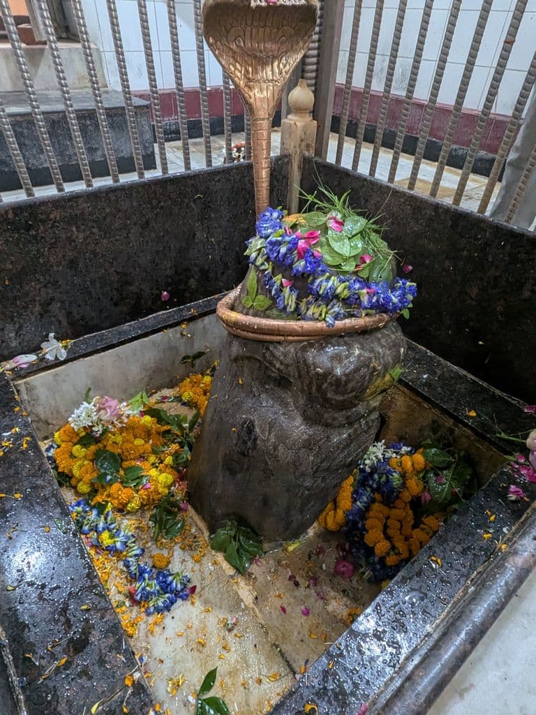 rehati_trilochan_mahadev_mandir_3.jpg