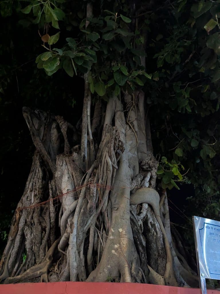 rishikesh_bharat_mandir_1.jpg