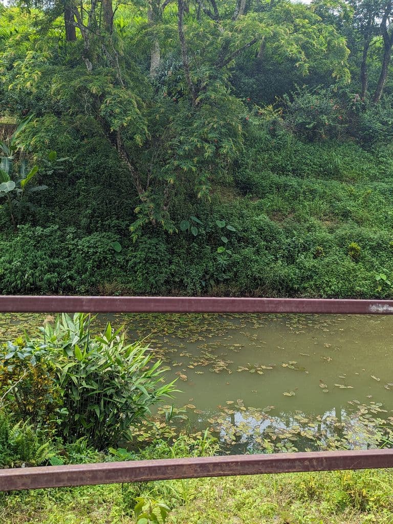robipur_bhuban_baba_mandir_19.jpg