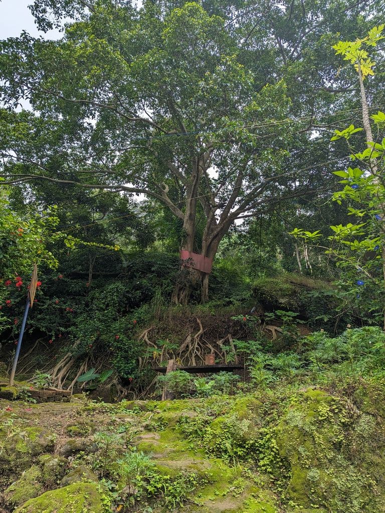 robipur_bhuban_baba_mandir_20.jpg