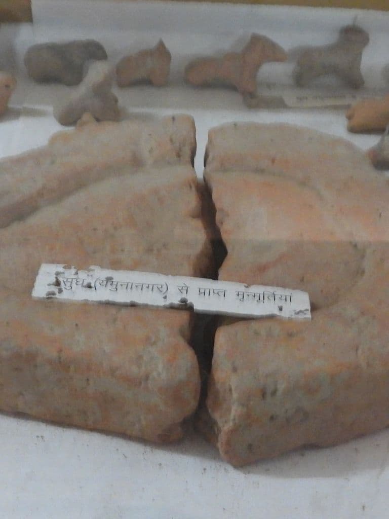 rohtak_arsha_mahavidyalaya_museum_11.jpg