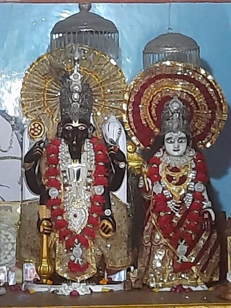 sambhal_prachin_kalki_mandir_16.jpg
