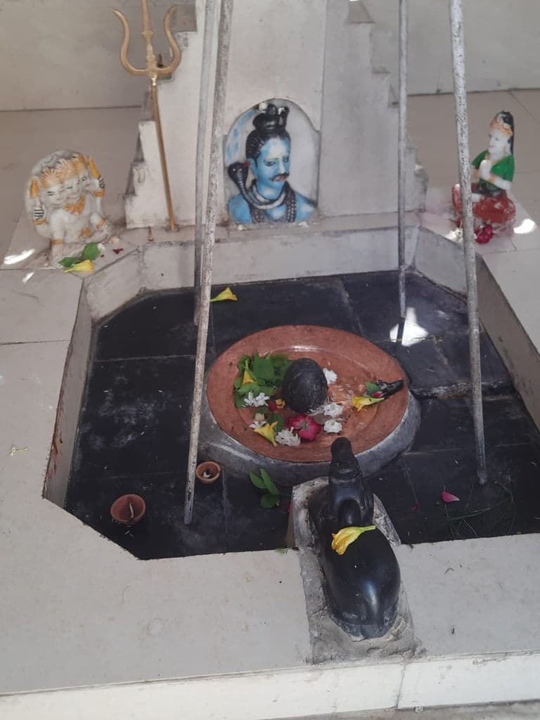 sambhal_prachin_kalki_mandir_4.jpg