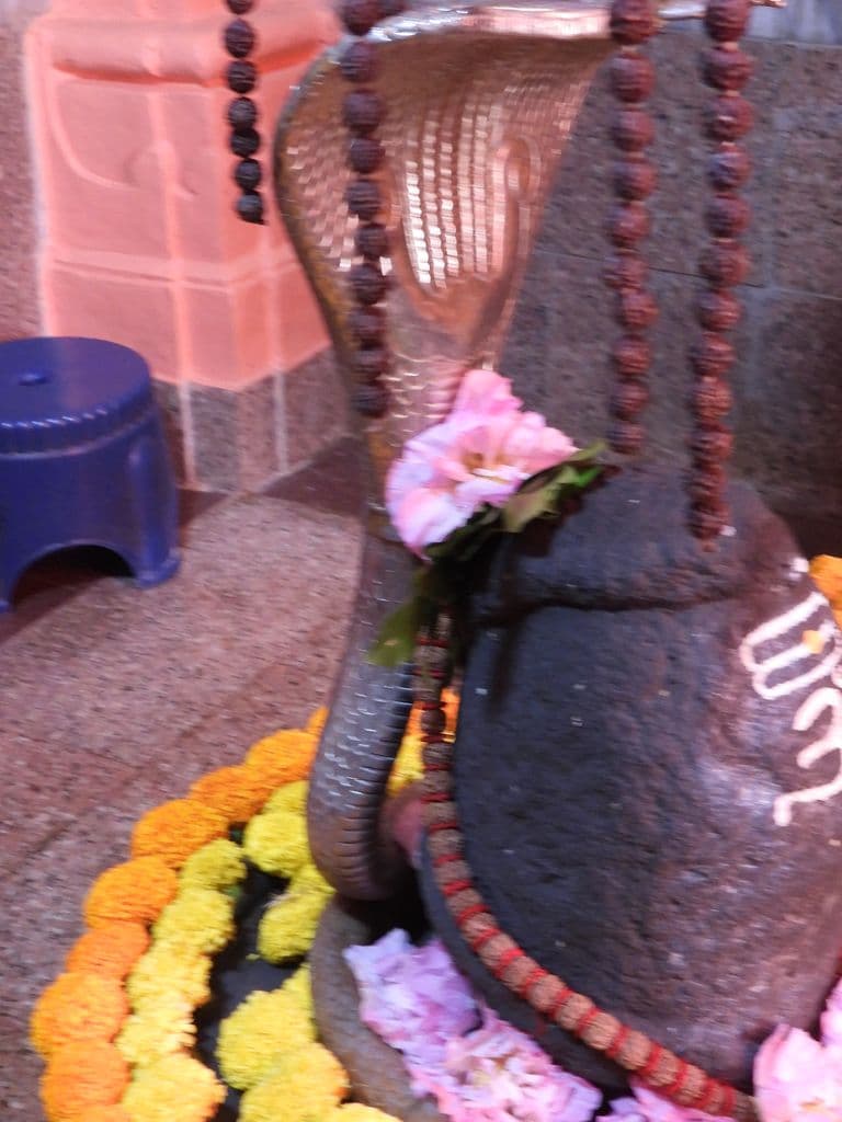 Nageshwara Mahadev Mandir - Saputara