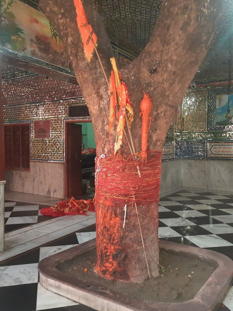 shamli_hanuman_tila_2.jpg
