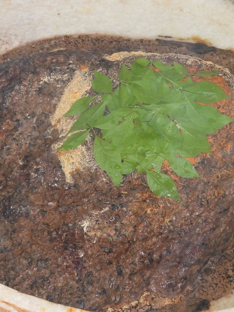 siddhpur_arvadeshwar_mahadev_11.jpg