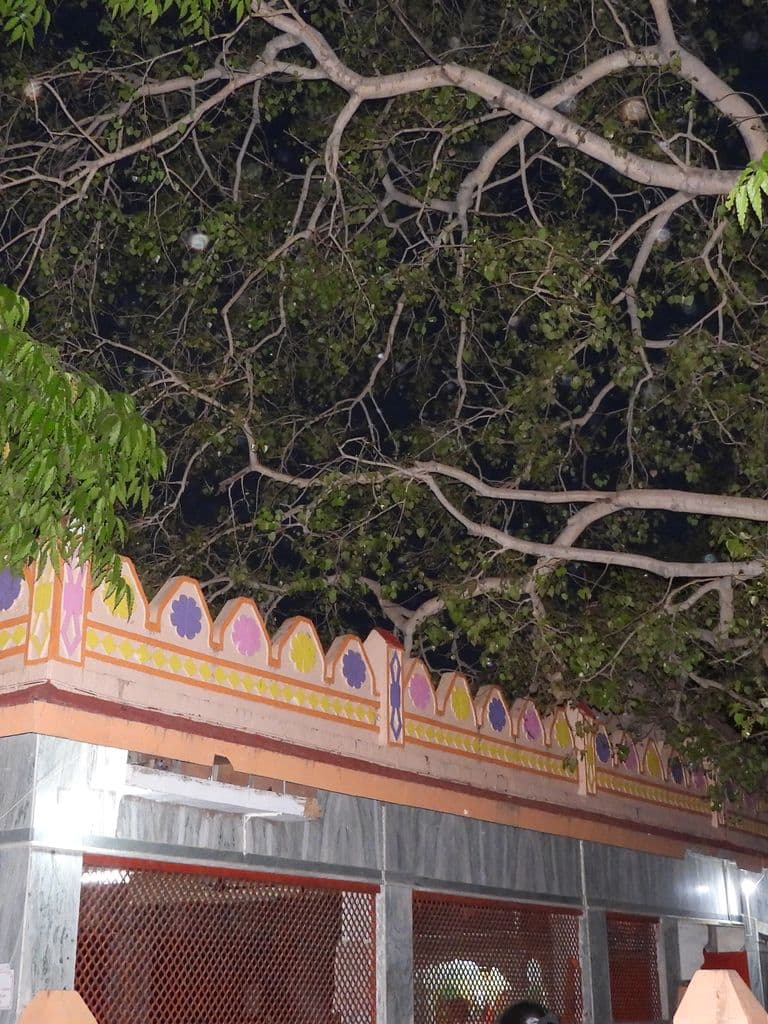 siddhpur_arvadeshwar_mahadev_18.jpg