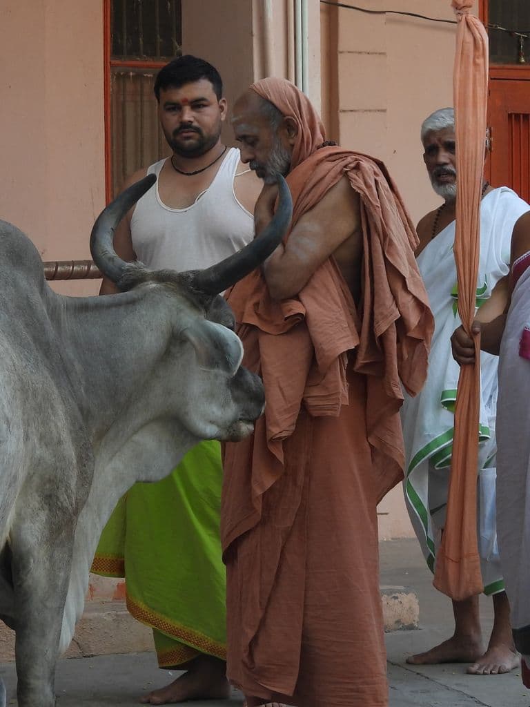 siddhpur_neelkanth_mahadev_5.jpg