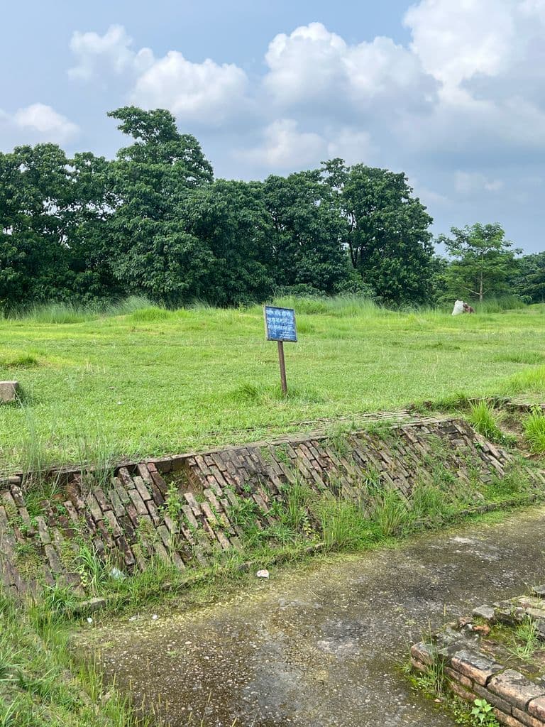 siliguri_gosanimari_mounds_10.jpg