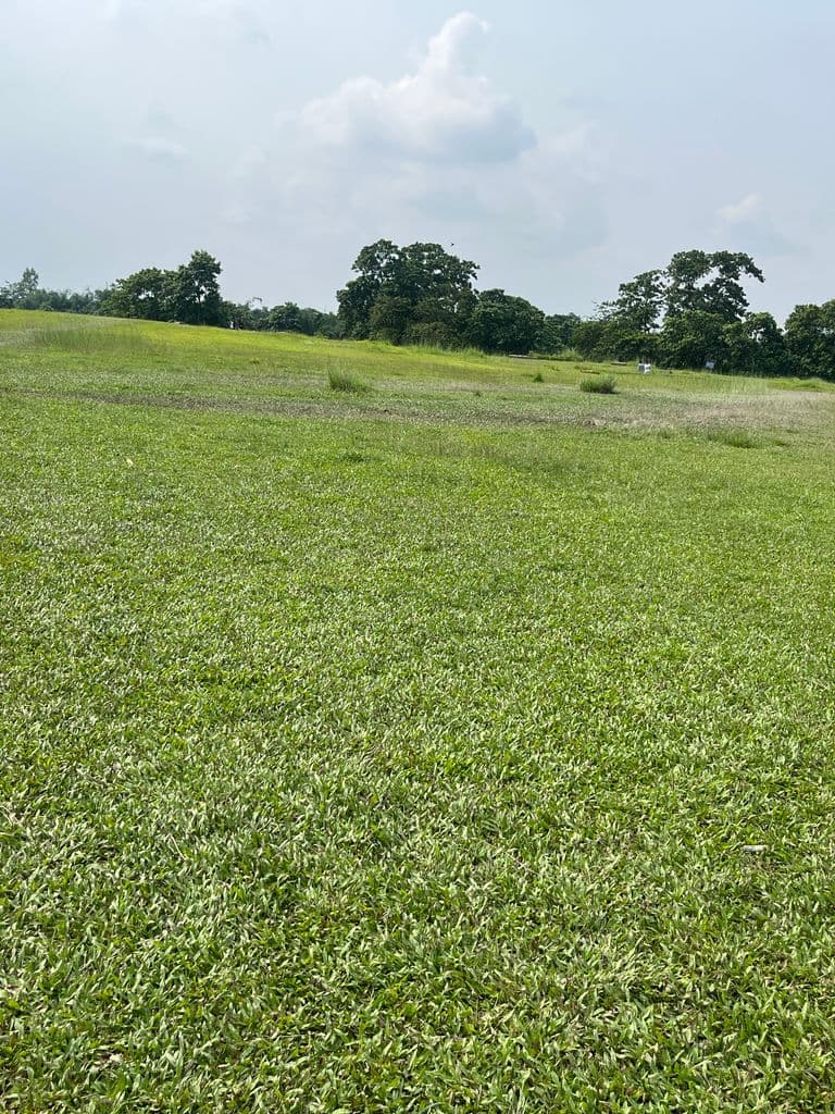 siliguri_gosanimari_mounds_4.jpg