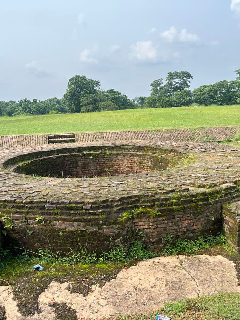 siliguri_gosanimari_mounds_6.jpg