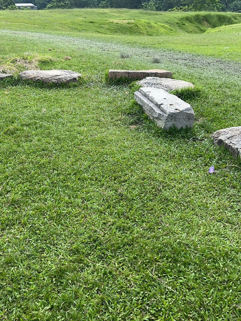 siliguri_gosanimari_mounds_8.jpg