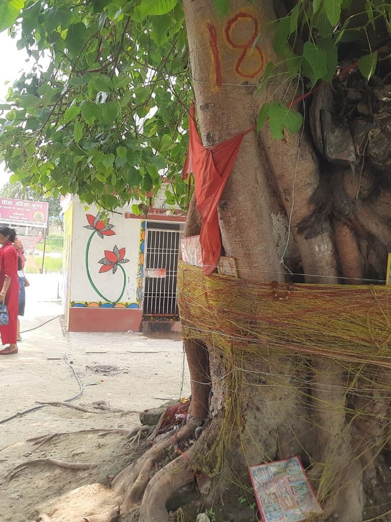 sitamarhi_janaki_janmasthali_mandir_11.jpg