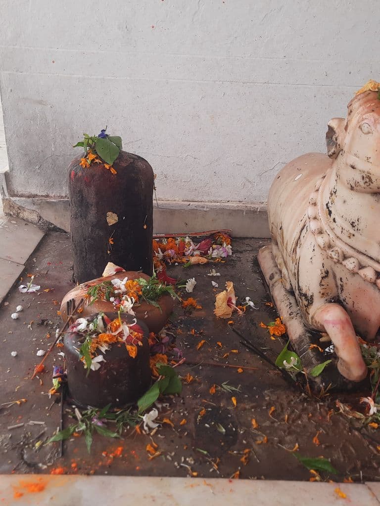 sitamarhi_janaki_janmasthali_mandir_17.jpg